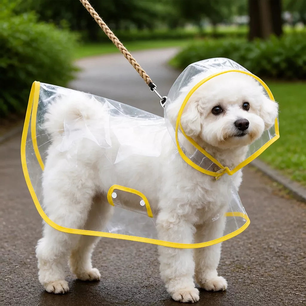 Transparent Hooded Raincoat for Dogs