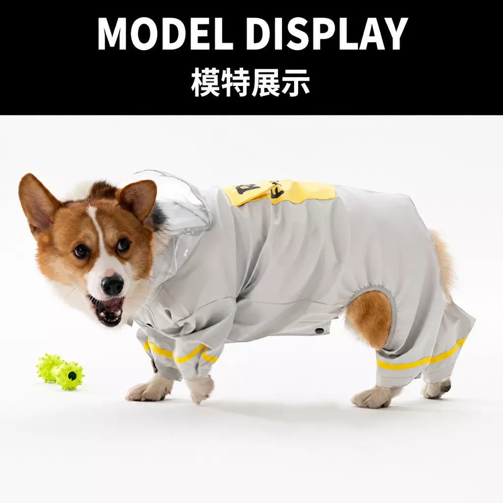 Dog Raincoat for Small to Medium Dogs