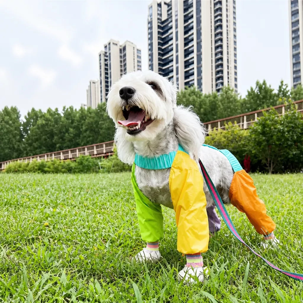 Four-Leg Dog Jumpsuit for Outdoor Wear