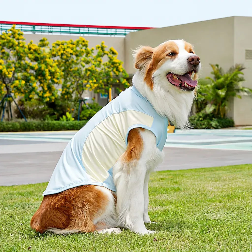 Lightweight Four-Leg Pet Shirt for Dogs & Cats