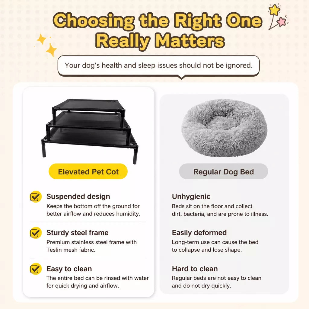 Elevated Dog & Cat Bed with Removable, Washable Pad