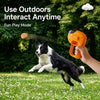 Interactive Treat-Dispensing Dog Toy for Training and Play