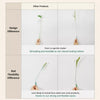 Cat Teaser Wand Toy with Feather & Fiber Teasers