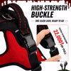 Wing-Design Nylon Dog Harness