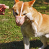 Soft Mesh Dog Muzzle with Plastic Guard