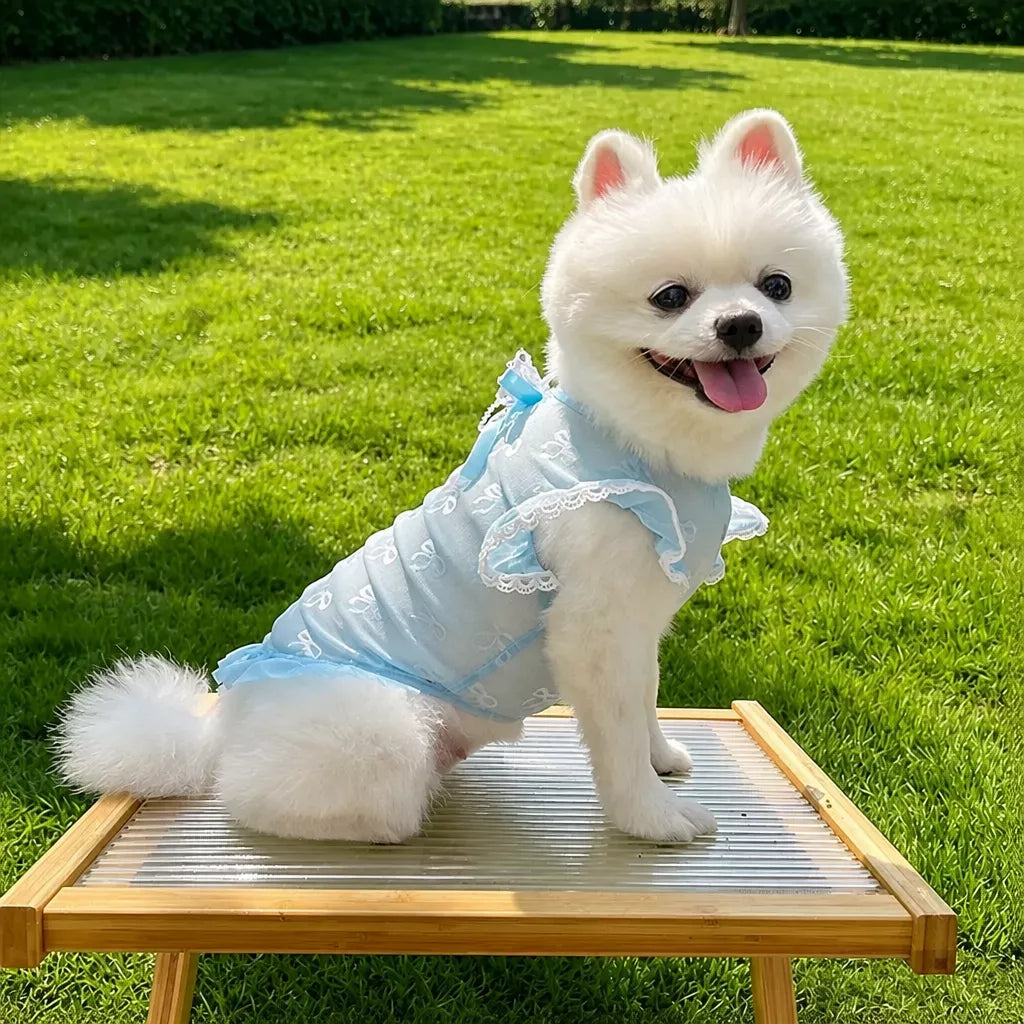 Lightweight Mesh Bow Pet Shirt with Leash Opening for Dogs & Cats