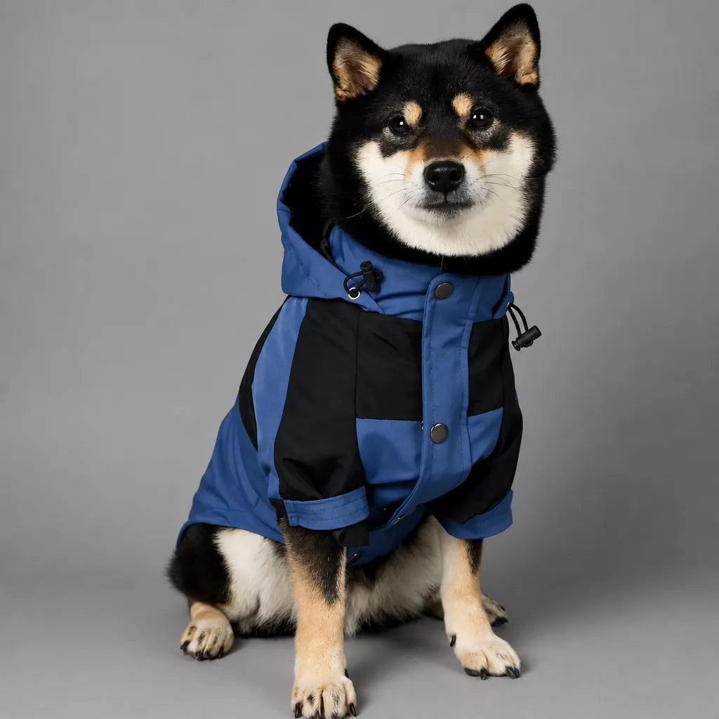 Dog Rain Jacket – Wind- and Water-Resistant Outdoor Coat