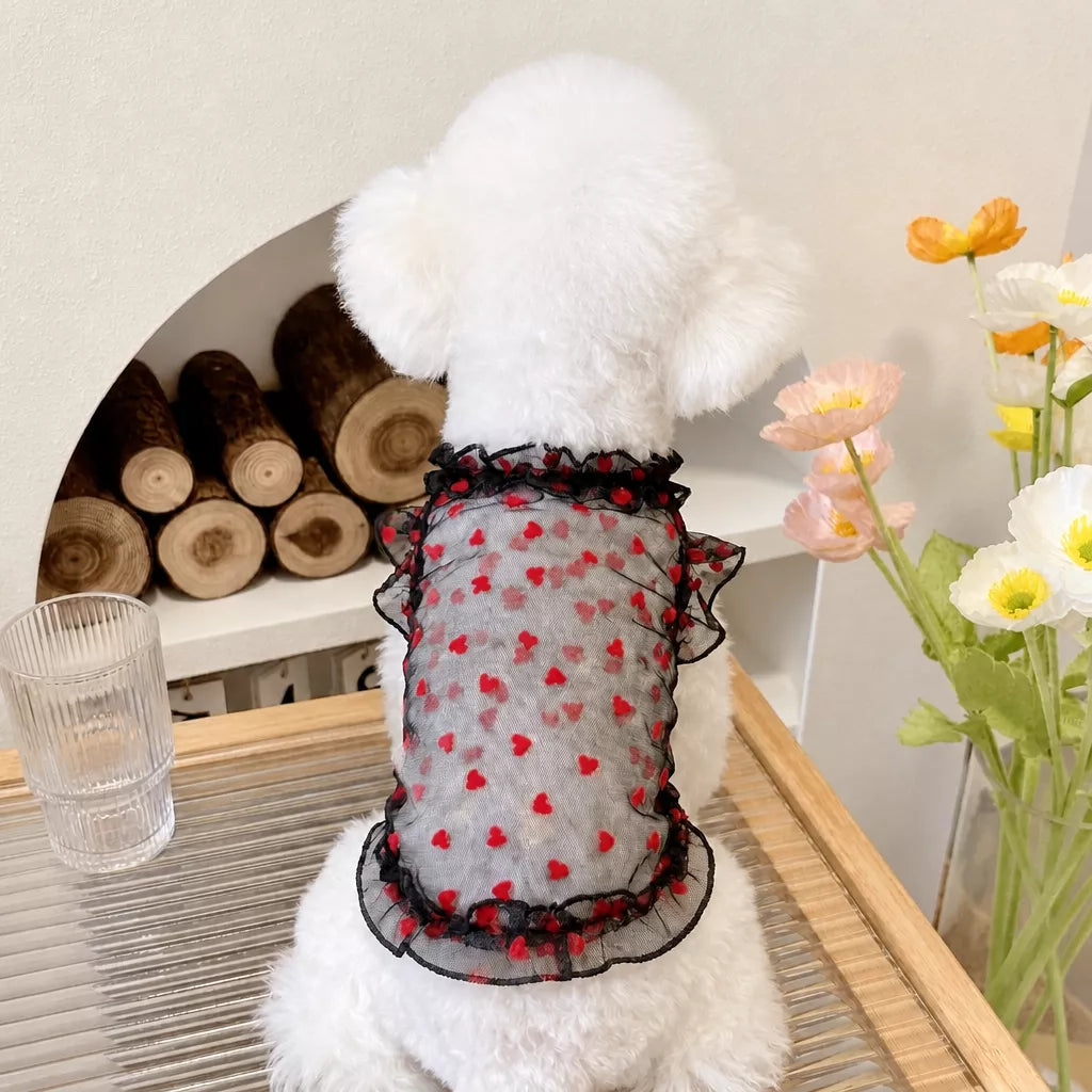 Daisy Mesh Pet Vest for Dogs and Cats