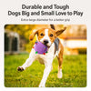 Squeaky Plush Rolling Ball Toy for Dogs
