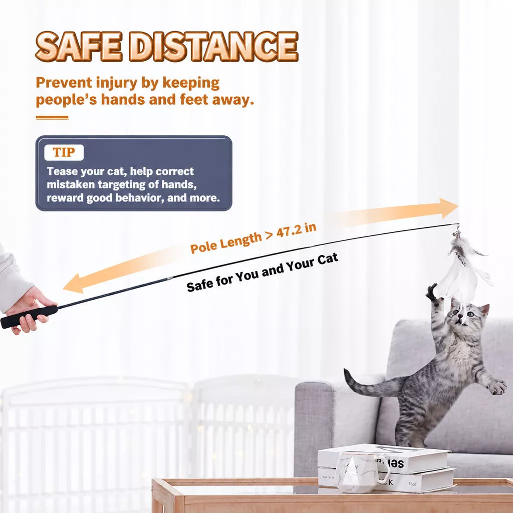 Cat Teaser Wand with Interchangeable Feather Attachments