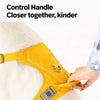 Lightweight Breathable Dog Harness and Leash