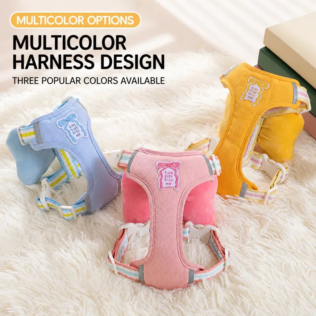 Small Dog Harness & Leash