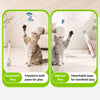 Motorized Cat Teaser Wand