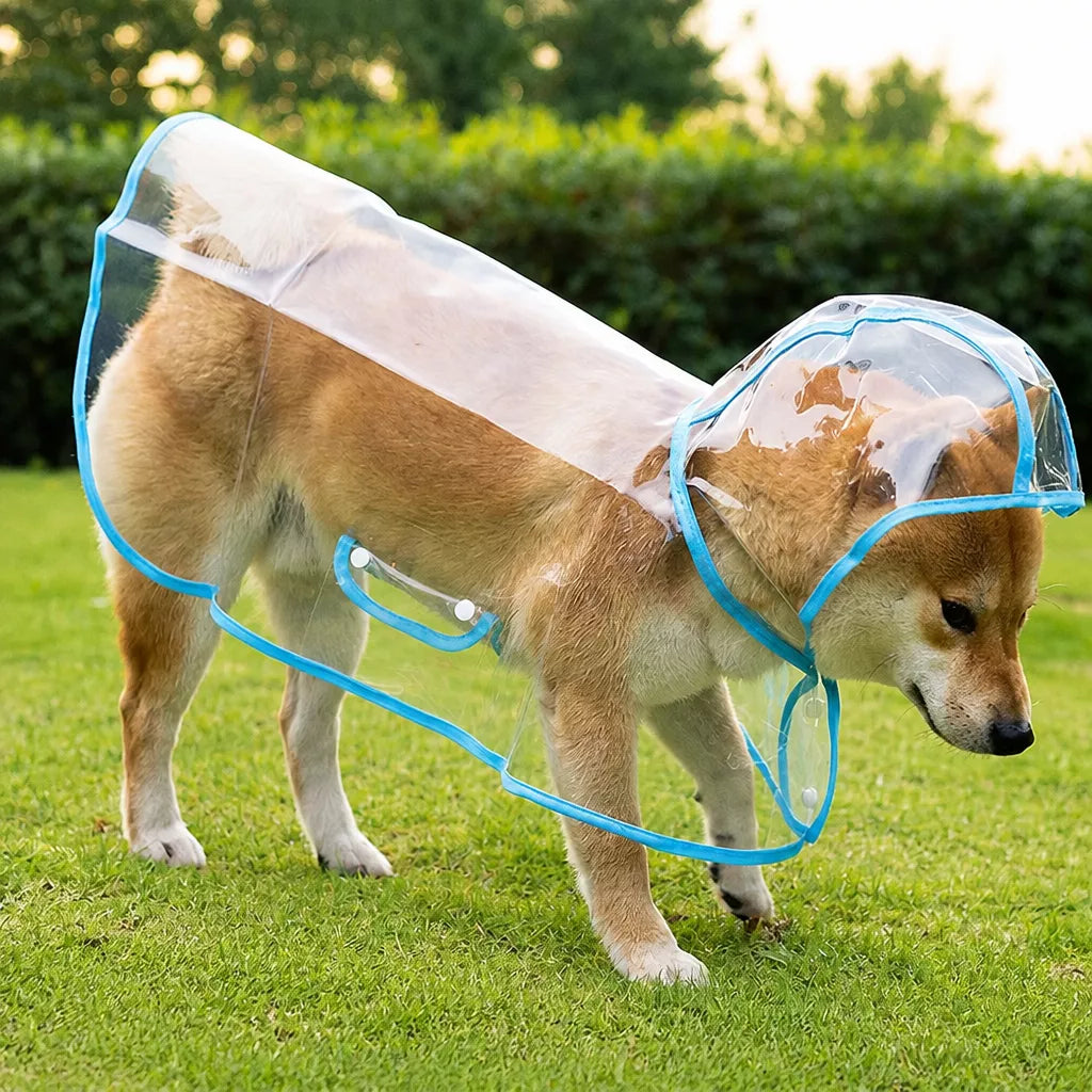 Transparent EVA Raincoat for Dogs