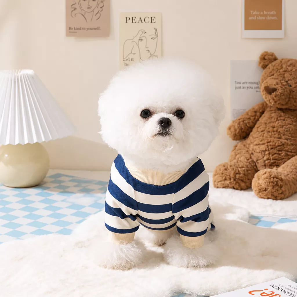 Teddy Bear Four-Leg Pet Outfit for Small Dogs & Cats