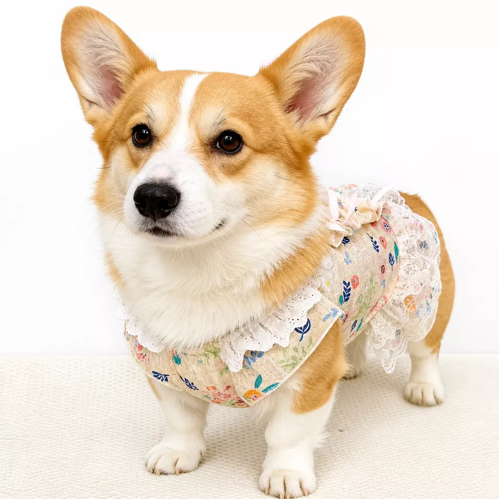 Lightweight Lace Pet Clothing with Bow and Ruffle Trim