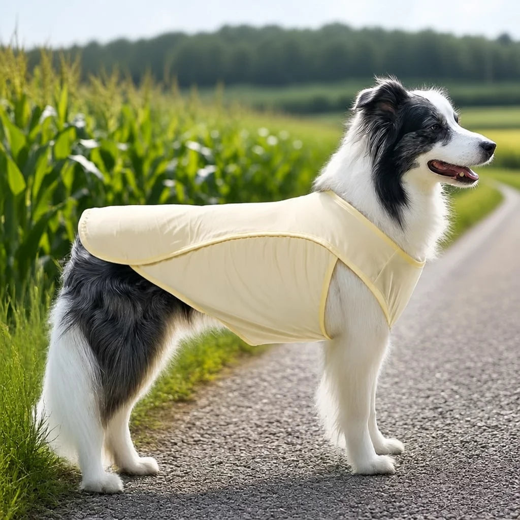Lightweight Polyester Vest for Medium and Large Dogs