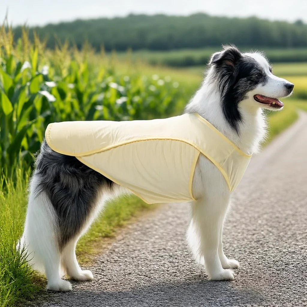 Lightweight Polyester Vest for Medium and Large Dogs
