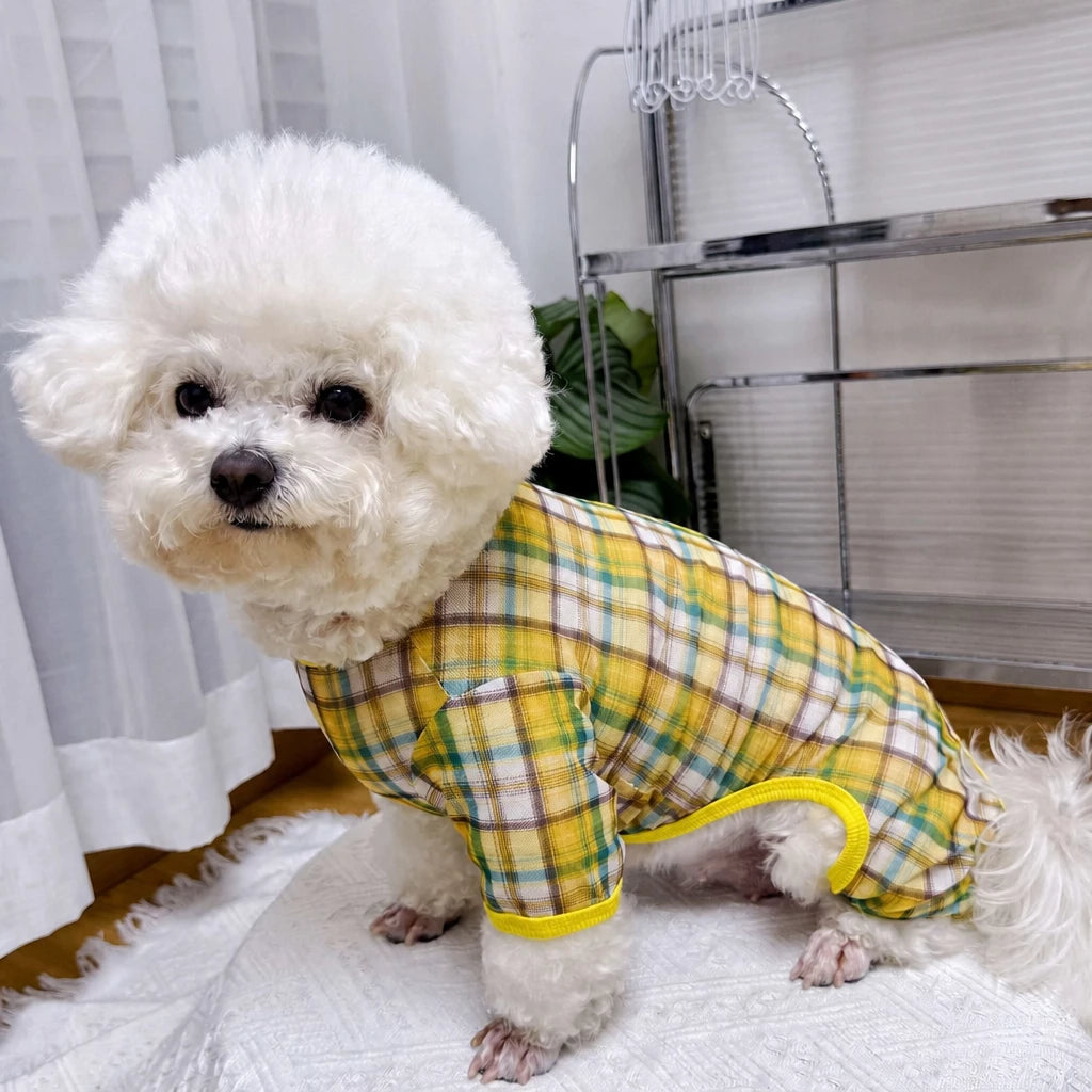 Striped Mesh Four-Leg Summer Shirt for Dogs