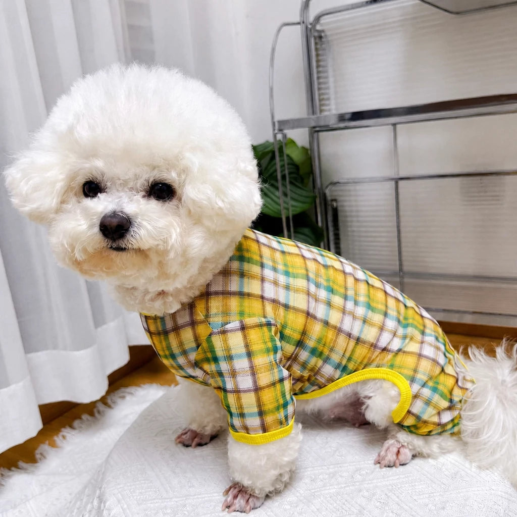 Striped Mesh Four-Leg Summer Shirt for Dogs