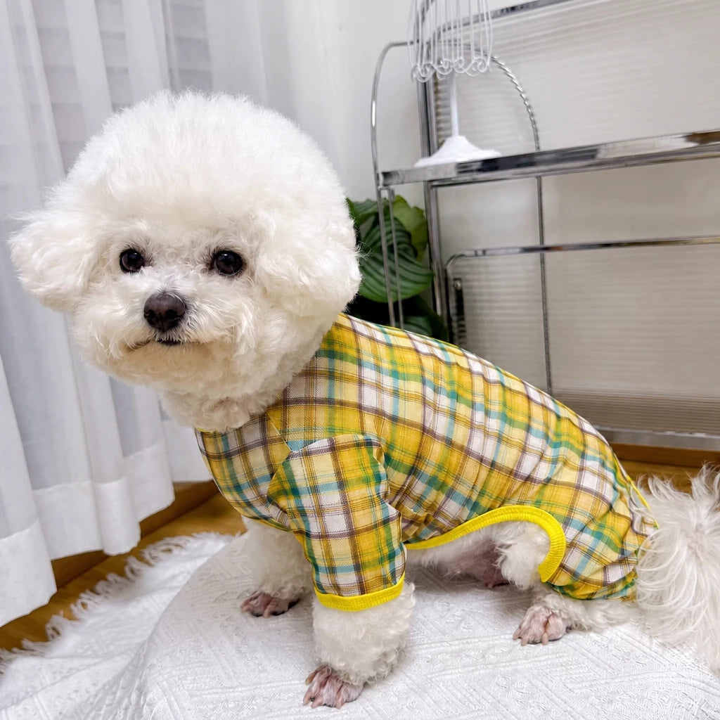 Striped Mesh Four-Leg Summer Shirt for Dogs