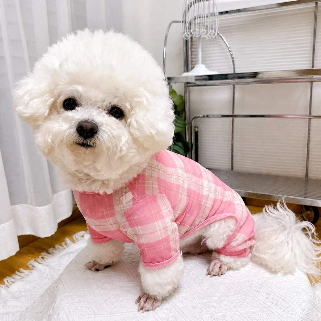 Striped Mesh Four-Leg Summer Shirt for Dogs