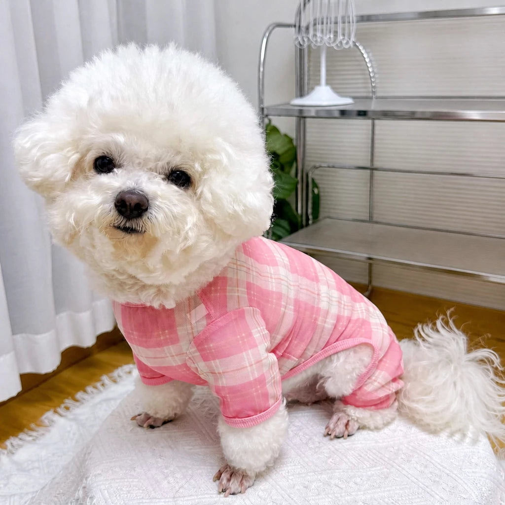 Striped Mesh Four-Leg Summer Shirt for Dogs