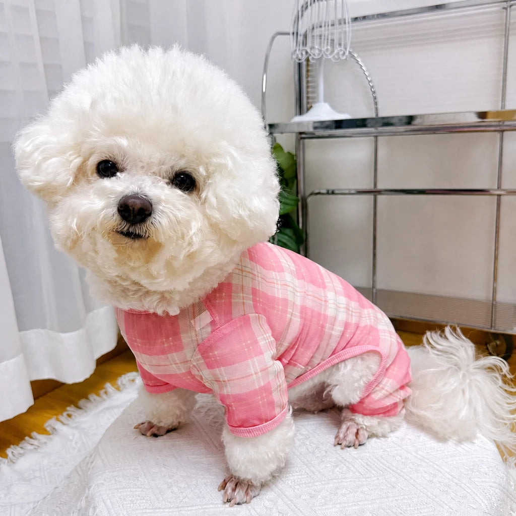 Striped Mesh Four-Leg Summer Shirt for Dogs