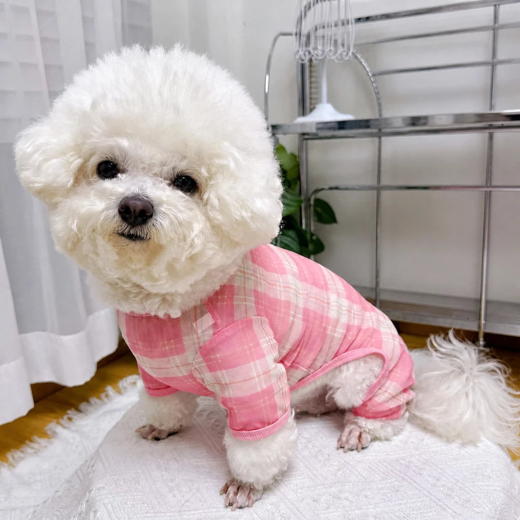Striped Mesh Four-Leg Summer Shirt for Dogs