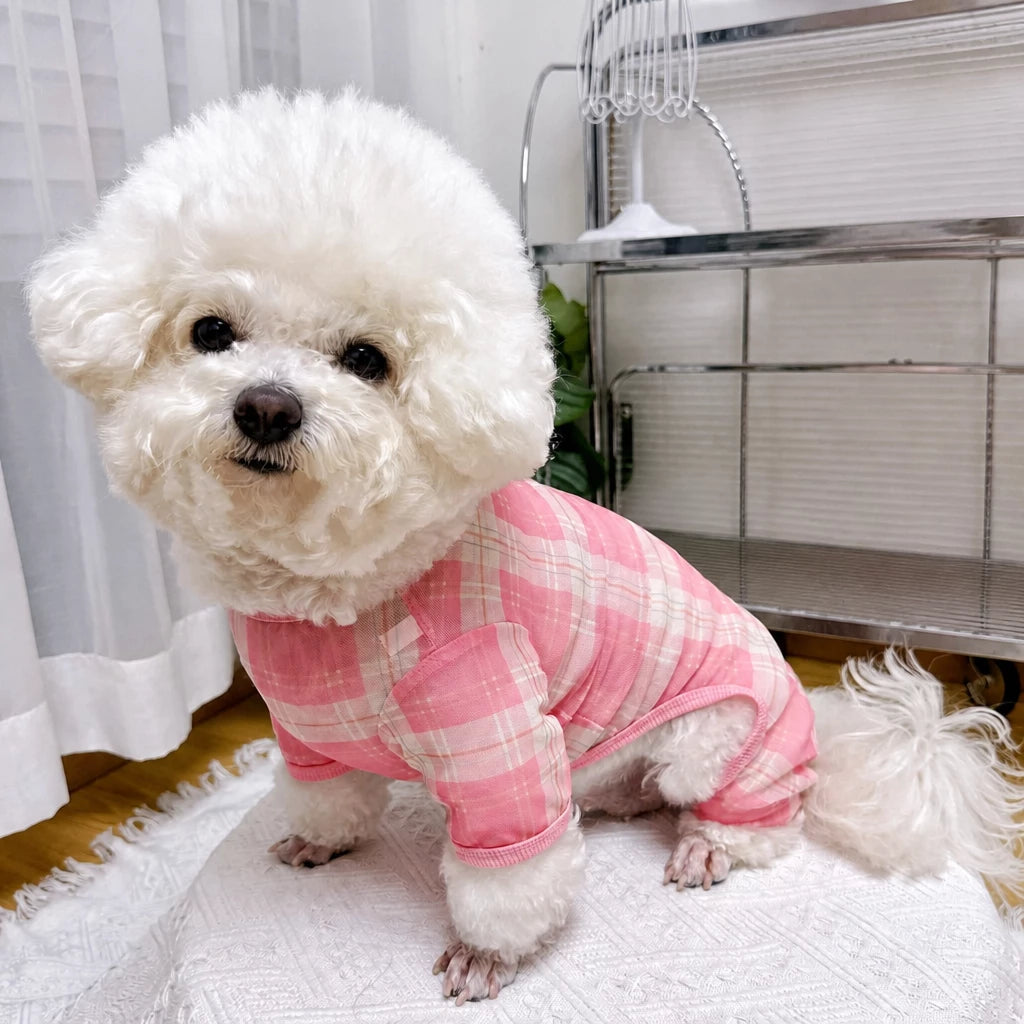 Striped Mesh Four-Leg Summer Shirt for Dogs