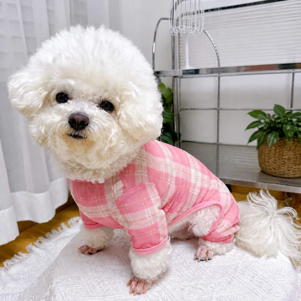 Striped Mesh Four-Leg Summer Shirt for Dogs
