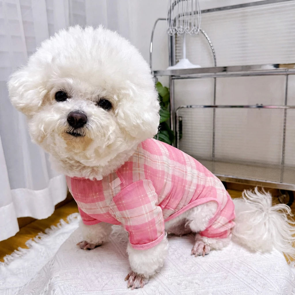 Striped Mesh Four-Leg Summer Shirt for Dogs