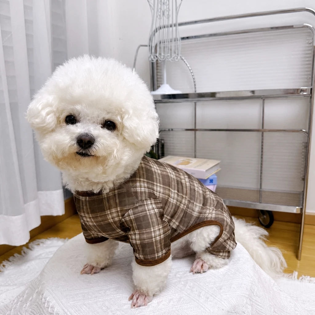 Striped Mesh Four-Leg Summer Shirt for Dogs
