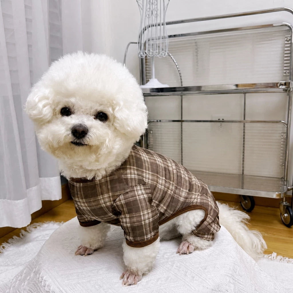 Striped Mesh Four-Leg Summer Shirt for Dogs