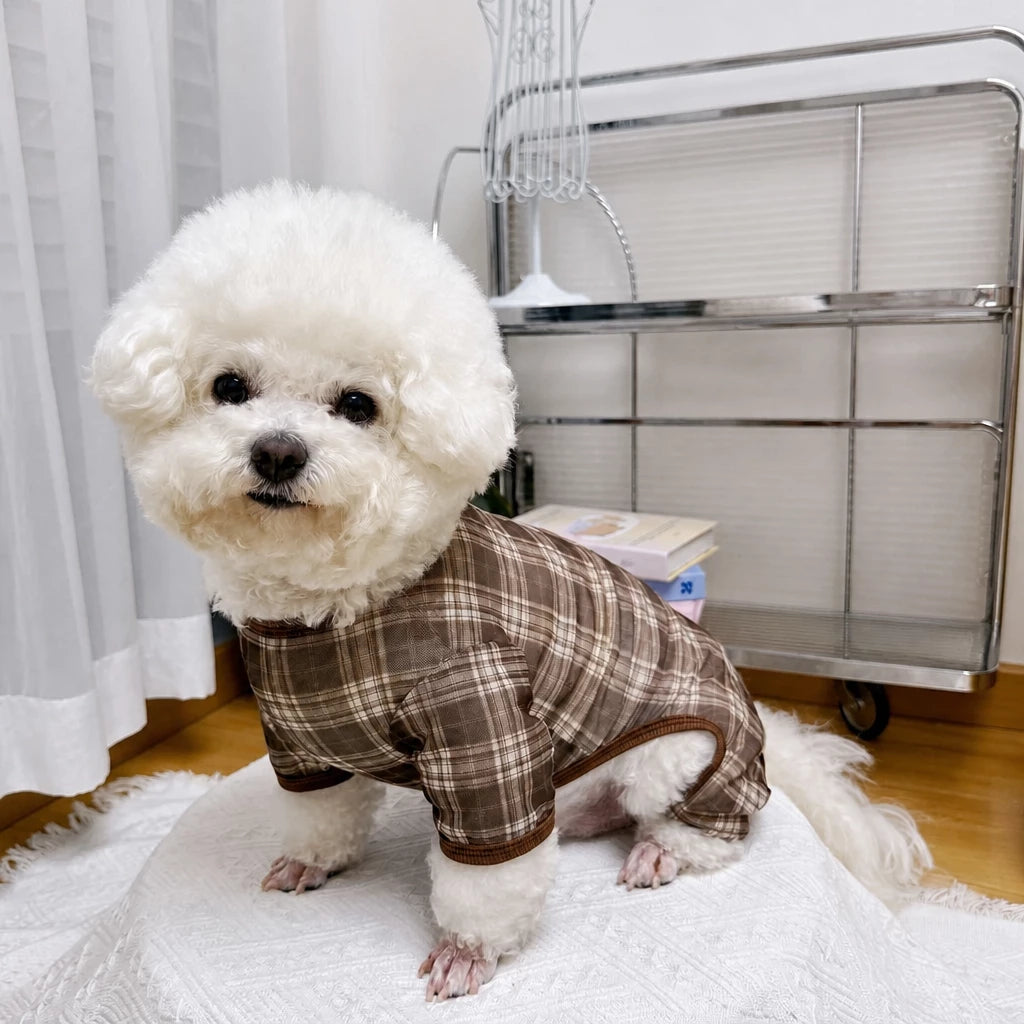 Striped Mesh Four-Leg Summer Shirt for Dogs