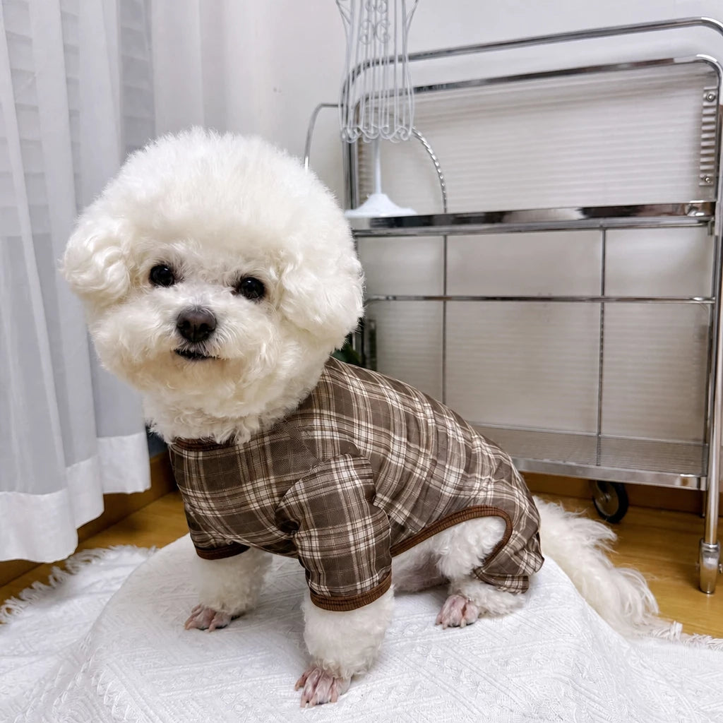 Striped Mesh Four-Leg Summer Shirt for Dogs