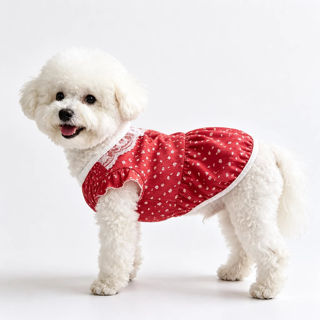 Lightweight Summer Pet Vest for Dogs & Cats