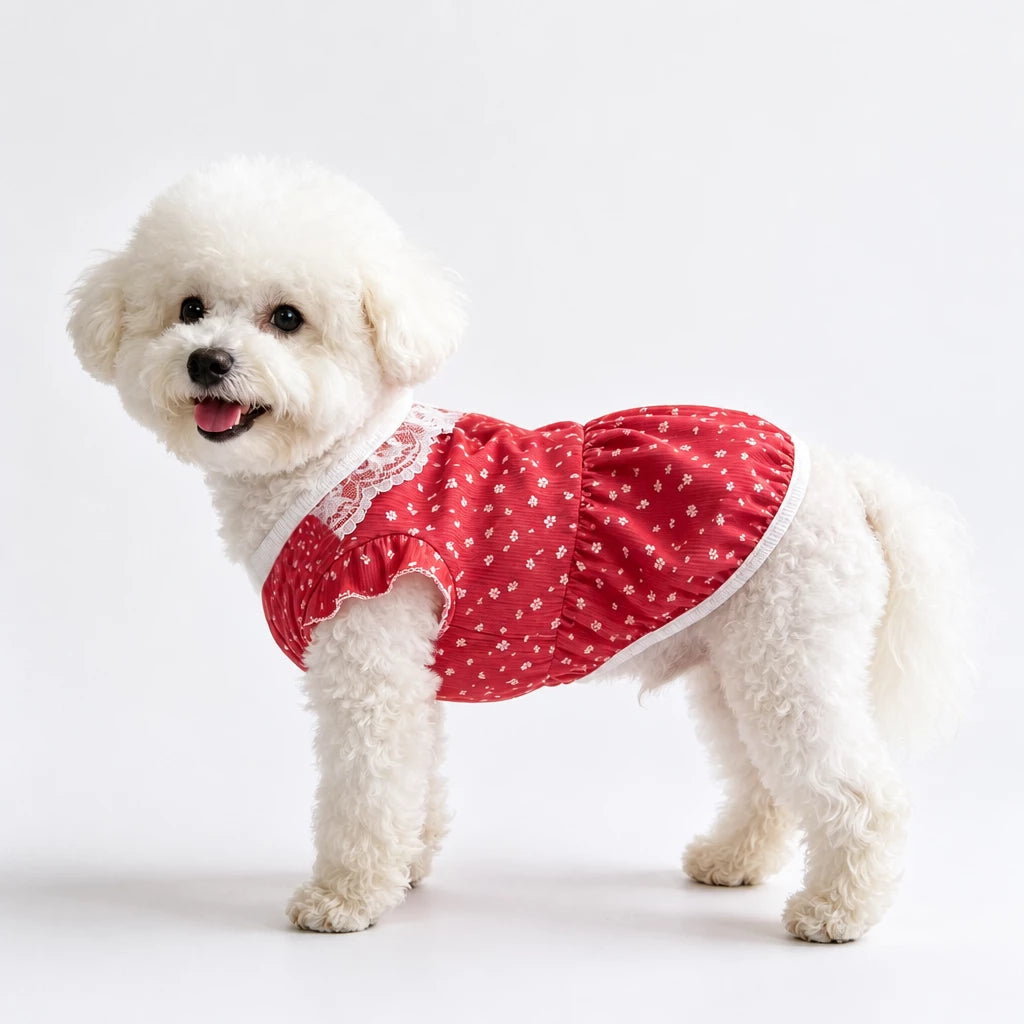 Lightweight Summer Pet Vest for Dogs & Cats