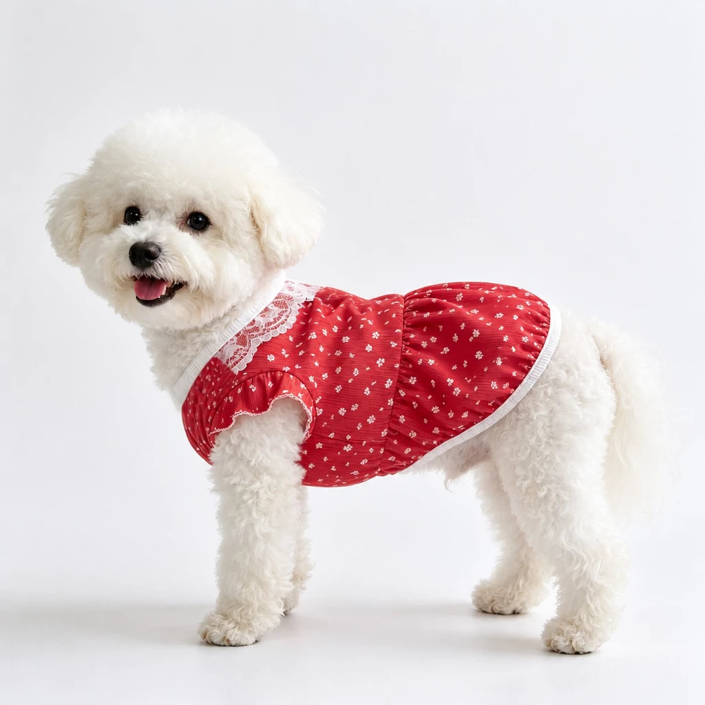 Lightweight Summer Pet Vest for Dogs & Cats