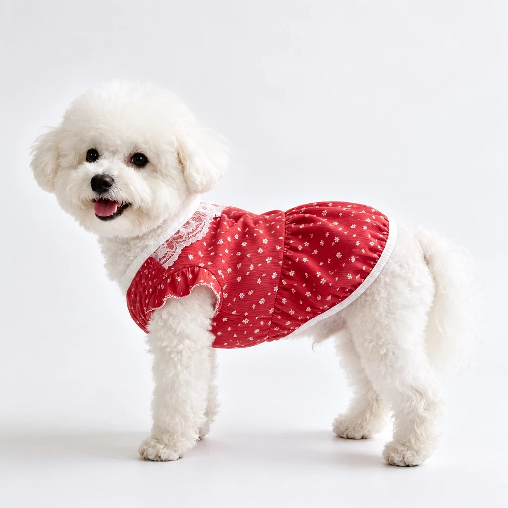 Lightweight Summer Pet Vest for Dogs & Cats