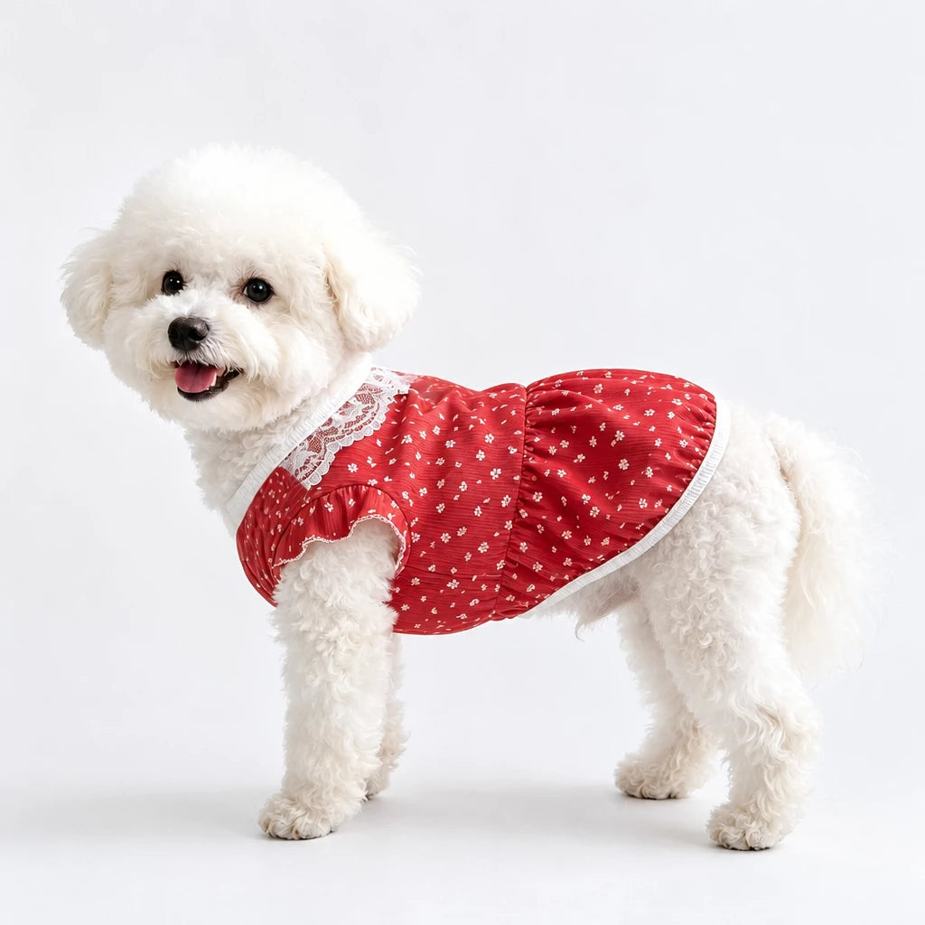Lightweight Summer Pet Vest for Dogs & Cats