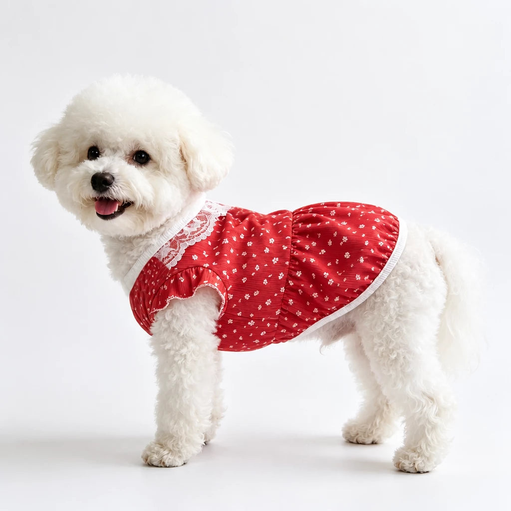 Lightweight Summer Pet Vest for Dogs & Cats