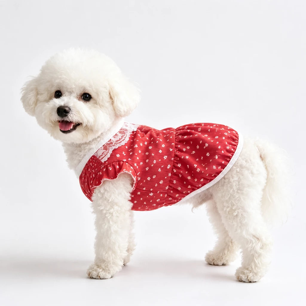 Lightweight Summer Pet Vest for Dogs & Cats