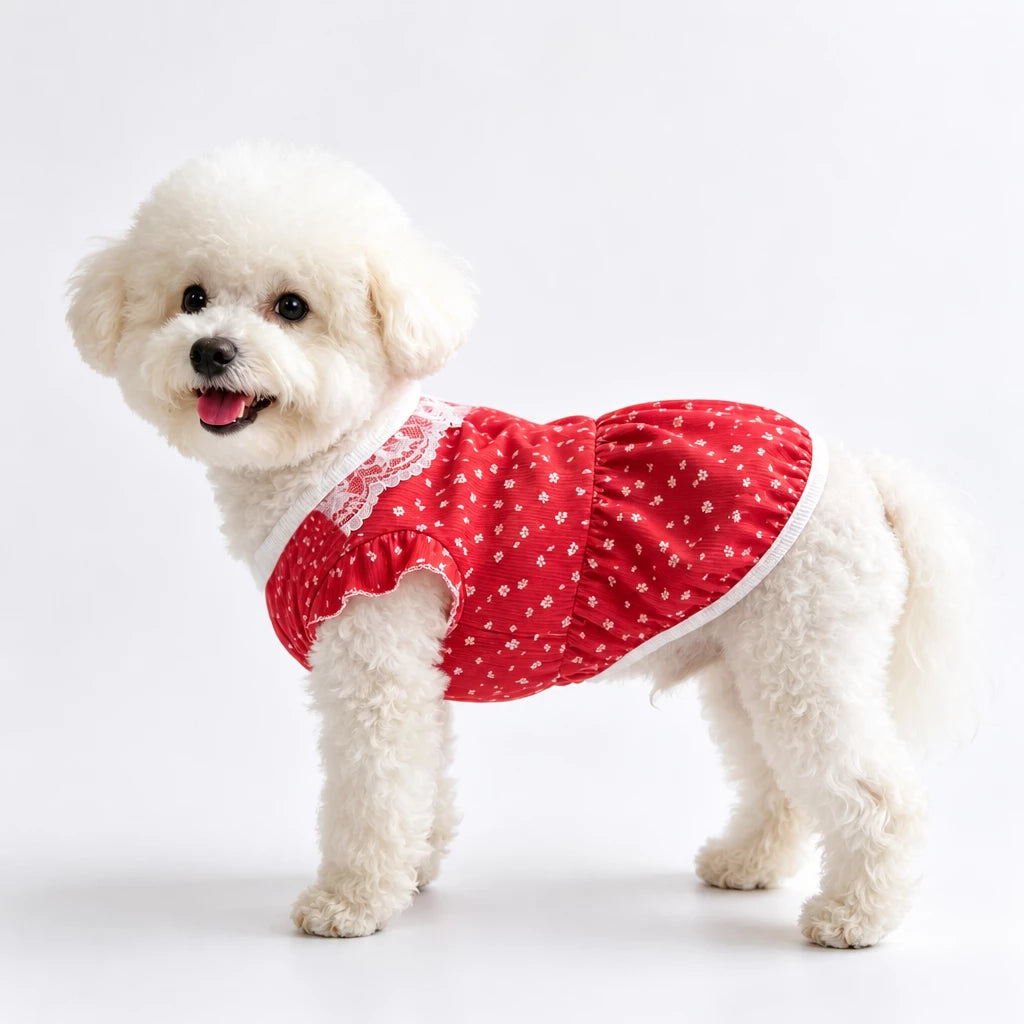 Lightweight Summer Pet Vest for Dogs & Cats