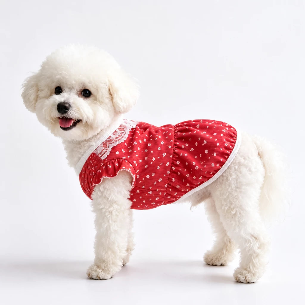 Lightweight Summer Pet Vest for Dogs & Cats