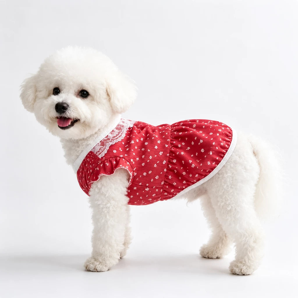 Lightweight Summer Pet Vest for Dogs & Cats