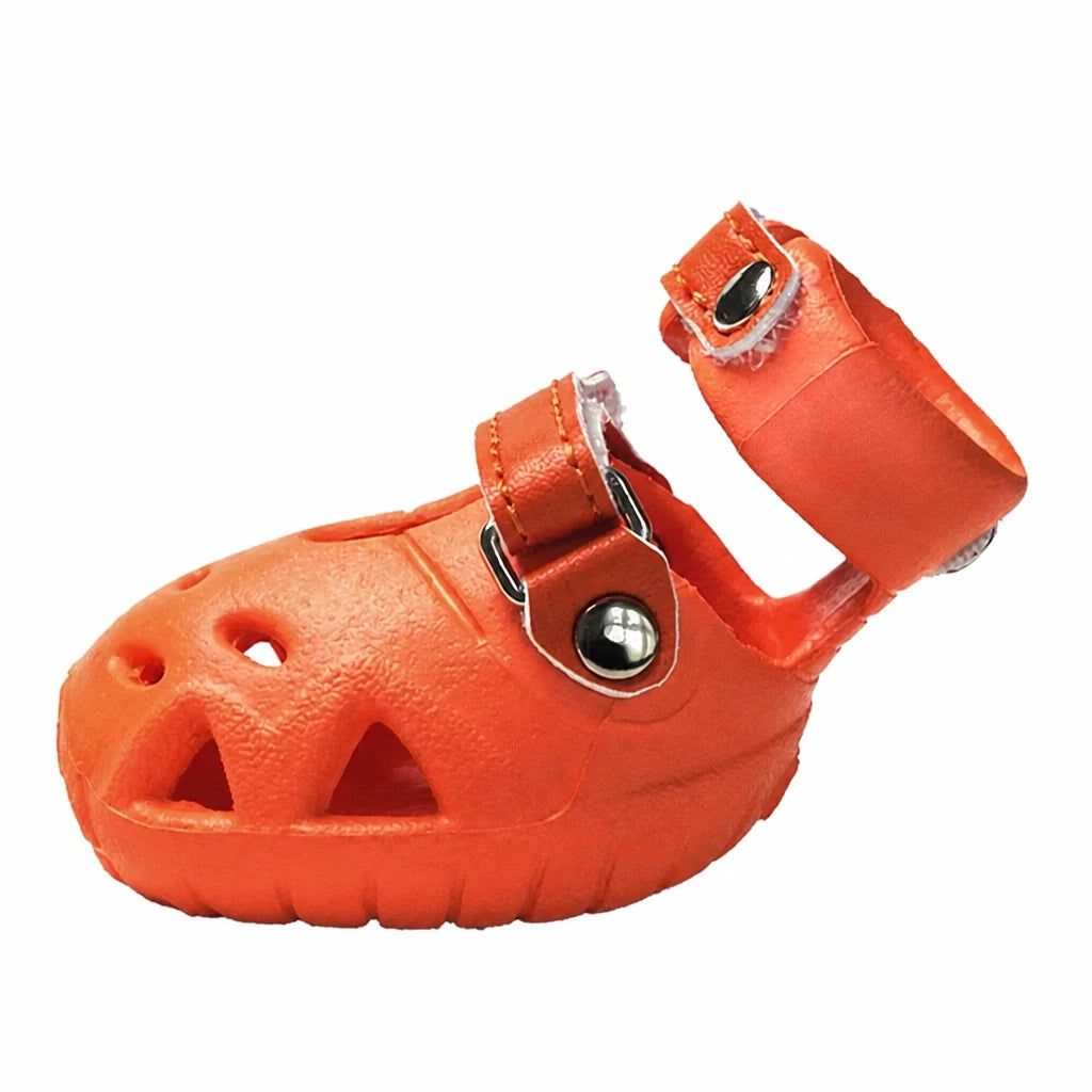 Dog Clog-Style Shoes for Outdoor Walks