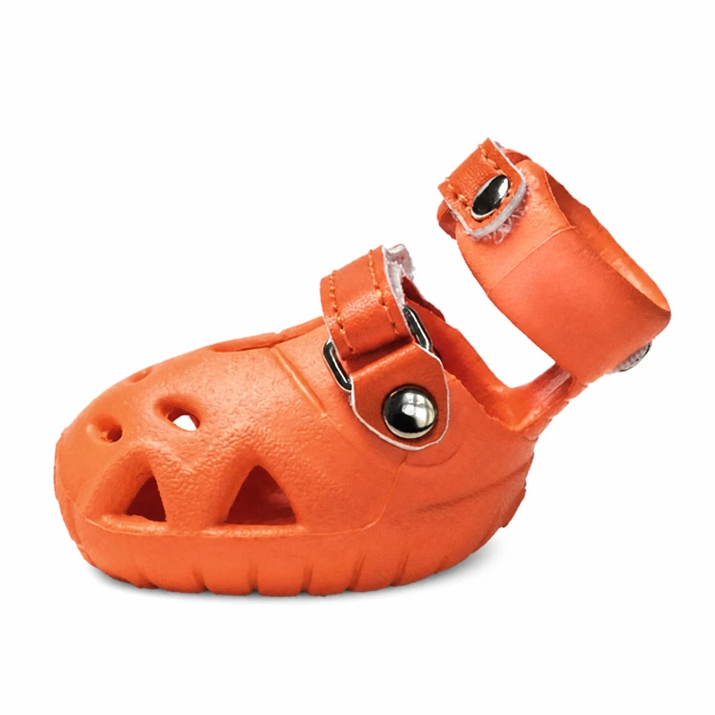 Dog Clog-Style Shoes for Outdoor Walks