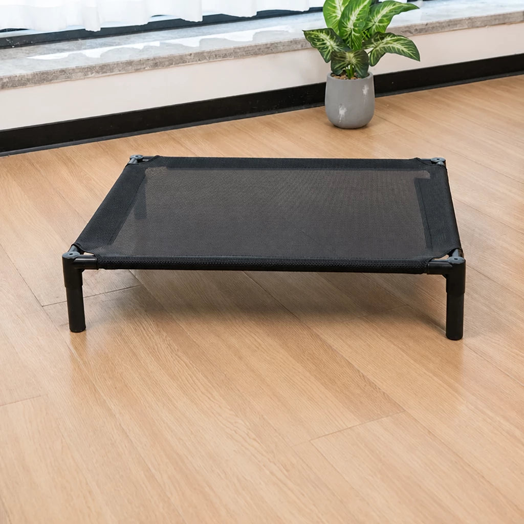 Elevated Dog & Cat Bed with Removable, Washable Pad