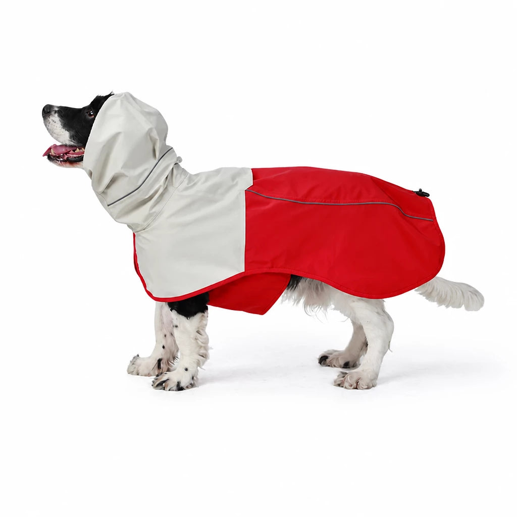 Two-Piece Dog Rain Suit